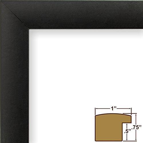 Craig Frames Travel Map with Pins, 24x36 Executive World for Wall