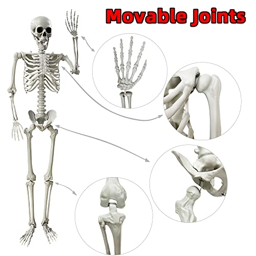 5.4Ft Halloween Skeleton with Movable Joints Life Size Human Bones Indoor Outdoor Decor