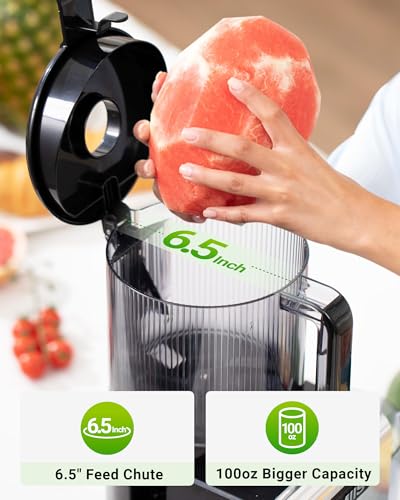 TUUMIIST 3-in-1 Juicer Machine Jet Black - Makes Juice, Sorbet & Nut Milk