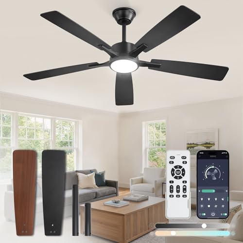 Fanbulous 52 Inch Ceiling Fan with Lights Black Remote & App Control