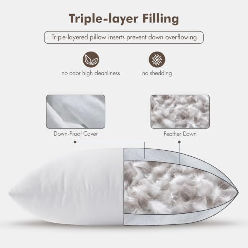 18x18 Inch Pillow Inserts Set of 2 Feather Down Cushion Fillings - Soft & Fluffy