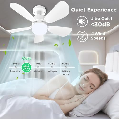 New White 2Pack Ceiling Fan Light Kit with Remote, Dimmable 3 Color Modes 3000K-6500K