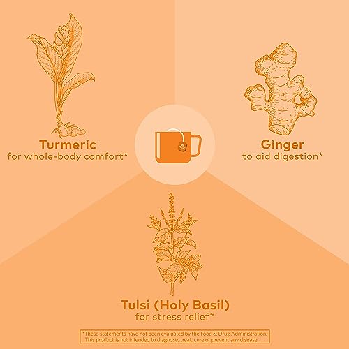 Organic India Tulsi Turmeric Ginger Herbal Tea 6 Pack (18 Bags Each) - Caffeine-Free Stress Relief