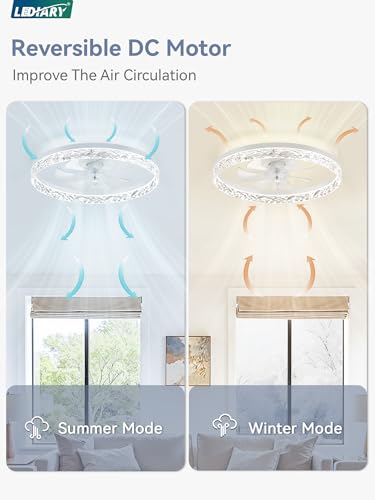 20 Inch Ceiling Fan with Lights and Remote Control - Reversible Motor, Dimmable, White, Variation of THIS listing