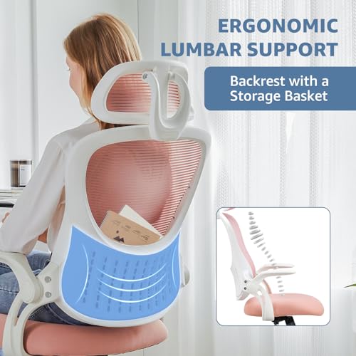 DUMOS Ergonomic Office Chair, Desk Computer Lumbar Support