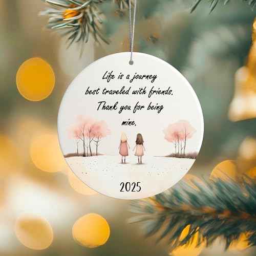 Friendship Ornament, for Women, Christmas Ornaments, Friend Ornaments for Women, Gift for Friends, Friend Ornament (2 Girls Friendship)