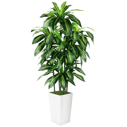 White 6ft Indoor Artificial Dracaena Tree with Planter - Faux Tall Plant
