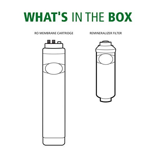 A. O. Smith Reverse Osmosis Membrane & Remineralizer Replacement for AO-US-RO-4000