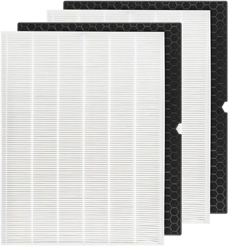 Air Purifier Filter Replacement Pack for Winix 5500-2 & AM80 - 2+2 HEPA & Carbon