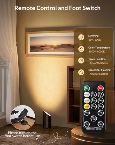 Black 2 Pack Indoor Floor Uplights with Remote & 3 CCT Dimmable Spotlight