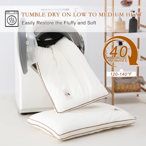 Queen Size Wool Pillow Set of 2 - Flat, Breathable Cotton Cover, Off White