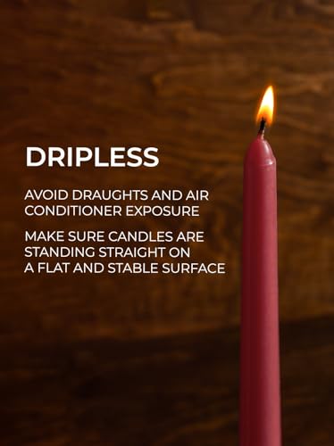 CANDWAX 12 inch Burgundy Taper Candle Set of 12 - Unscented, Dripless Smokeless for Christmas & Dinner Table Centerpieces