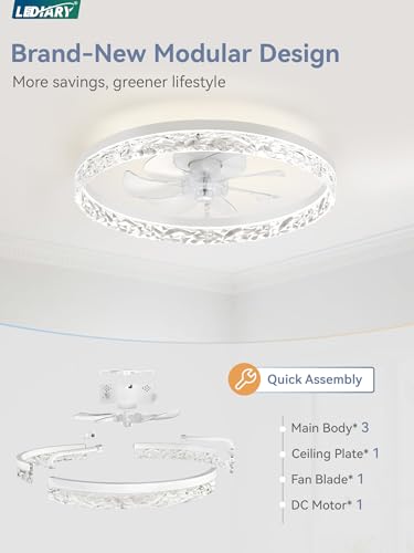 20 Inch Ceiling Fan with Lights and Remote Control - Reversible Motor, Dimmable, White, Variation of THIS listing