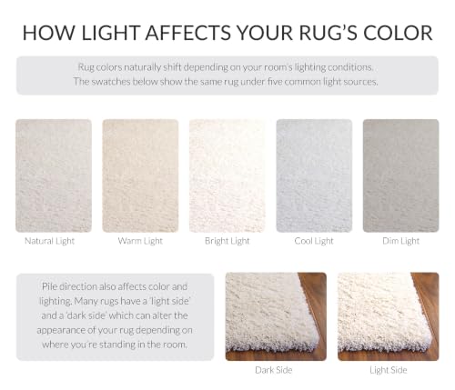 Safavieh 4x6 Ivory California Shag Area Rug - Ultra Plush Non-Shedding Home Decor