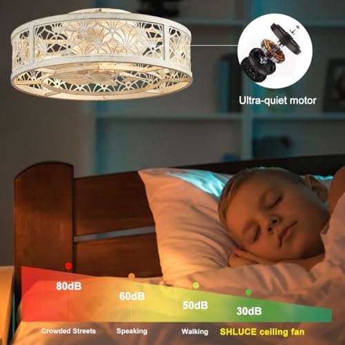 White Gold 18-inch Caged Ceiling Fan with Light Remote Control
