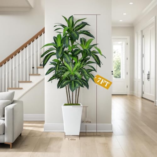 Artificial Dracaena Tree 7FT with White Tall Planter - Realistic Indoor Floor Plant - Variation: White 7ft