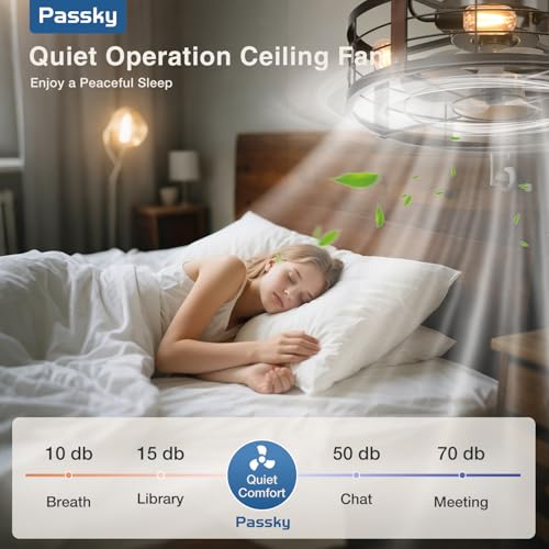Black 20-Inch Caged Ceiling Fan with Lights and Remote Control