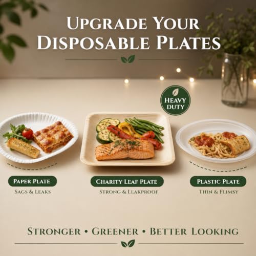 Charity Leaf 8-Inch Square Disposable Bamboo Plates - 50 Pack, Eco-Friendly & Heavy Duty