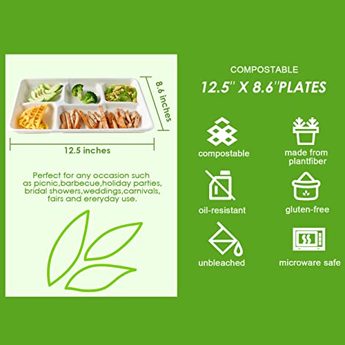 Compostable 5-Compartment Paper Plates 100 Pack Eco-Friendly Disposable Dinnerware