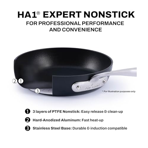 All-Clad HA1 Expert 11-Inch Nonstick Griddle Pan - Hard Anodized, Dishwasher Safe