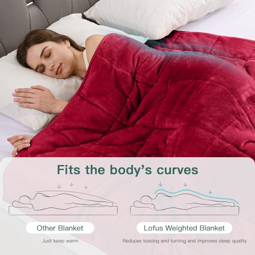 Lofus Burgundy Weighted Blanket Queen Size 60" x 80" 15 lbs for Adults