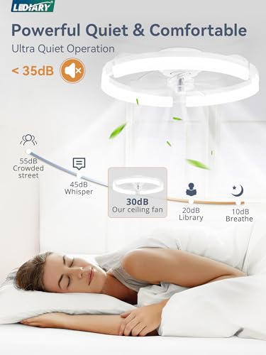 20-Inch Ceiling Fan with Lights - Low Profile Fandelier for Bedroom - White - Variation 1