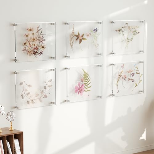 8.5x11 Acrylic Picture Frames 4 Pack - Clear Floating Wall Frames - Variation of THIS listing