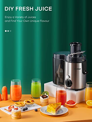HOUSNAT Silver Juicer Machine for Whole Fruits & Vegetables, 3 Speeds