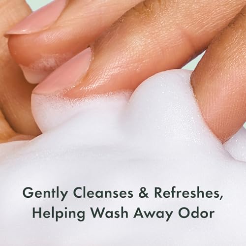 Rael Gentle Feminine Wash Foaming Cleanser 5 oz Pack of 4 – Sensitive Skin, Natural Ingredients