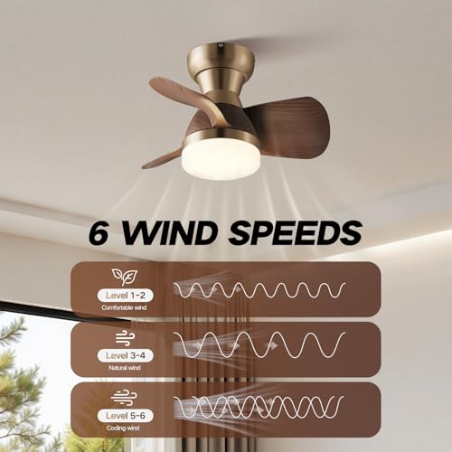 20 Inch Brass Ceiling Fan with Remote, 3 ABS Blades, LED Light for Bedroom & Living Room