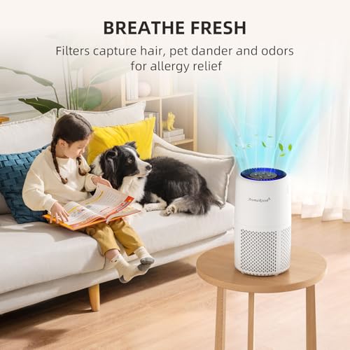 AromaRoom White Air Purifier for Home Smoke Pollen Dander & Hair, Effective Air Cleaner