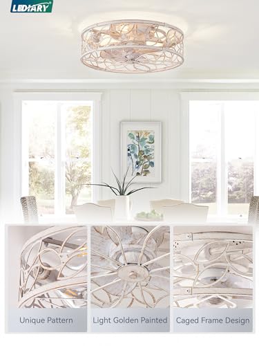 LEDIARY White Gold Caged Ceiling Fan with Light, Remote Control & Quiet Motor
