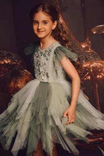Tutu Dress for Girls - Embroidered Tulle Tiered Layered Flower Toddler Dress for Wedding & Birthday