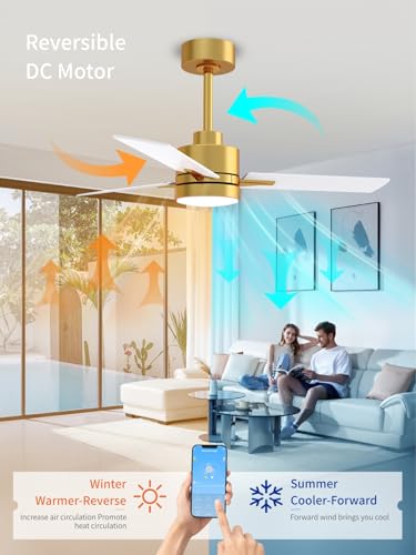 Metal Ceiling Fan with Lights and Remote Control - 42 Inch, Gold & White, Downrod Variation