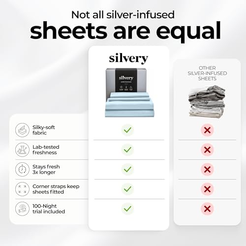 Ice Blue Silvery Silver Infused King Bed Sheets Set - Ultra-Soft Temperature-Regulating & Self-Cleaning Technology