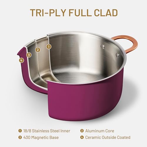 8QT Full Clad Tri-Ply Stainless Steel Stock Pot with Lid - Purple, Dishwasher Safe, Even Heating, All Stoves Compatible