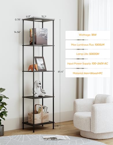 PARTPHONER Black Display Shelf Floor Lamp with RGBW Color Changing Lights
