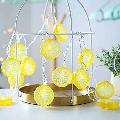 Lemon String Lights, Merdeco 10ft 20 LED Plug in Lemon String Lights Warm White Fairy Lights for Birthday Party Wedding Home Decoration