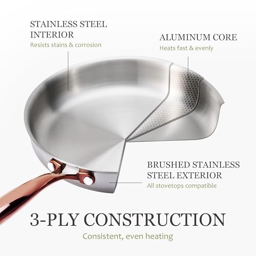 10-Inch Tri-Ply Stainless Steel Frying Pan - Non-Toxic Egg & Omelet Pan - Oven & Induction Safe - Polished Silver - Without Lid