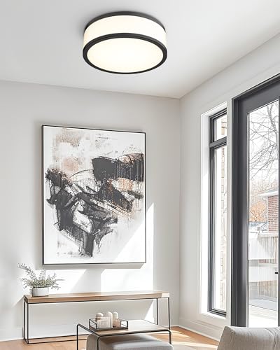 LMS Black 15 Inch Dimmable LED Flush Mount Ceiling Light for Kitchen & Hallway