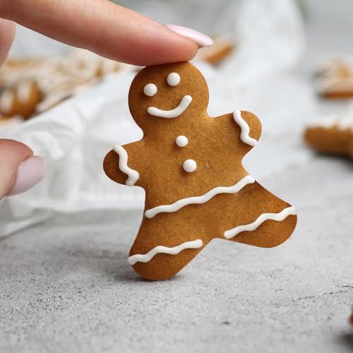 12-Piece Stainless Steel Gingerbread Cookie Cutter Set for Holiday Baking