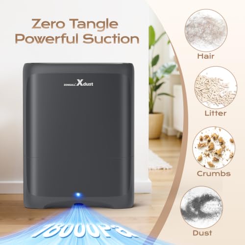 Touchless Vacuum Dustpan with Extra Filter - Black - Hair & Debris Pickup
