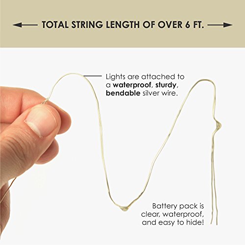 2 Sets 20 LEDs Green Color String Lights Silver Wire Indoor and Outdoor 6.5 Feet Firefly Starry Fairy Lights Battery Powered for DIY, Christmas, Holidays, Party, Bedroom and Centerpieces