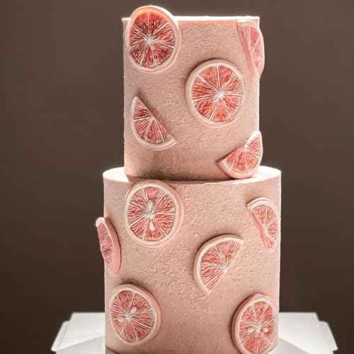 Pinecone Chocolate Molds, Pinenut Winter Foliage Lemon Slice Silicone Fondant Molds, Holly Leaf Lemon Candy Molds for Christmas Cake Decoration Cupcake Topper Gummy Plaster Clay Resin Set of 5