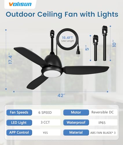 Black Outdoor Ceiling Fan with Light 42in Weatherproof Remote & App Control