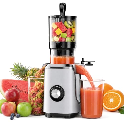 Slow Masticating Juicer with Reverse Function - Silver, 4.25-Inch Feed Chute