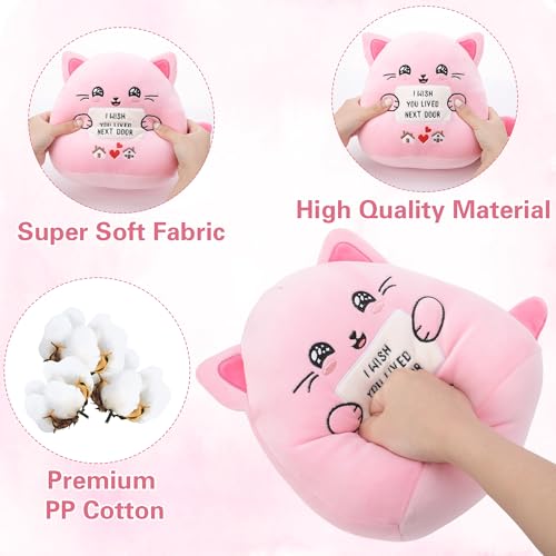 Friendship Plush Cat Stuffed Animal for Women Bestie Birthday Gift for Sister Girlfriend I Wish You Lived Next Door Plush Toy Pillow 9 Inch
