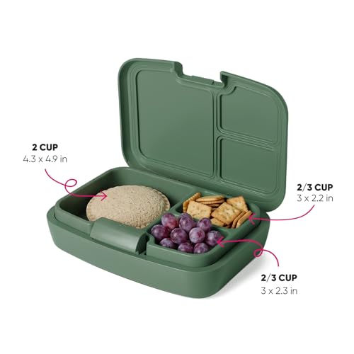 Marvel Spidey Kids Bento Lunch Box - 3 Compartments, Simple Modern