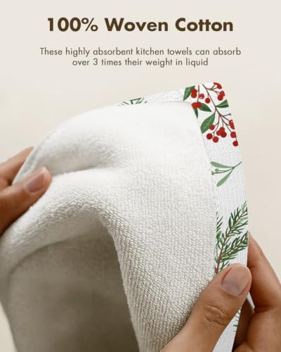 Miss Adola Christmas Frost 3-Piece Cotton Kitchen Towels 270GSM, 15 x 25 in