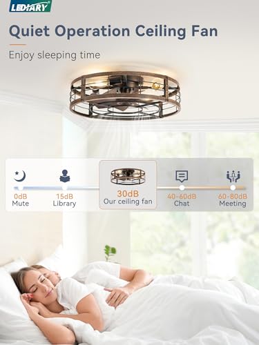 LEDIARY 23 Inch Black Gold Caged Low Profile Ceiling Fan with Light & Remote - Industrial Chic